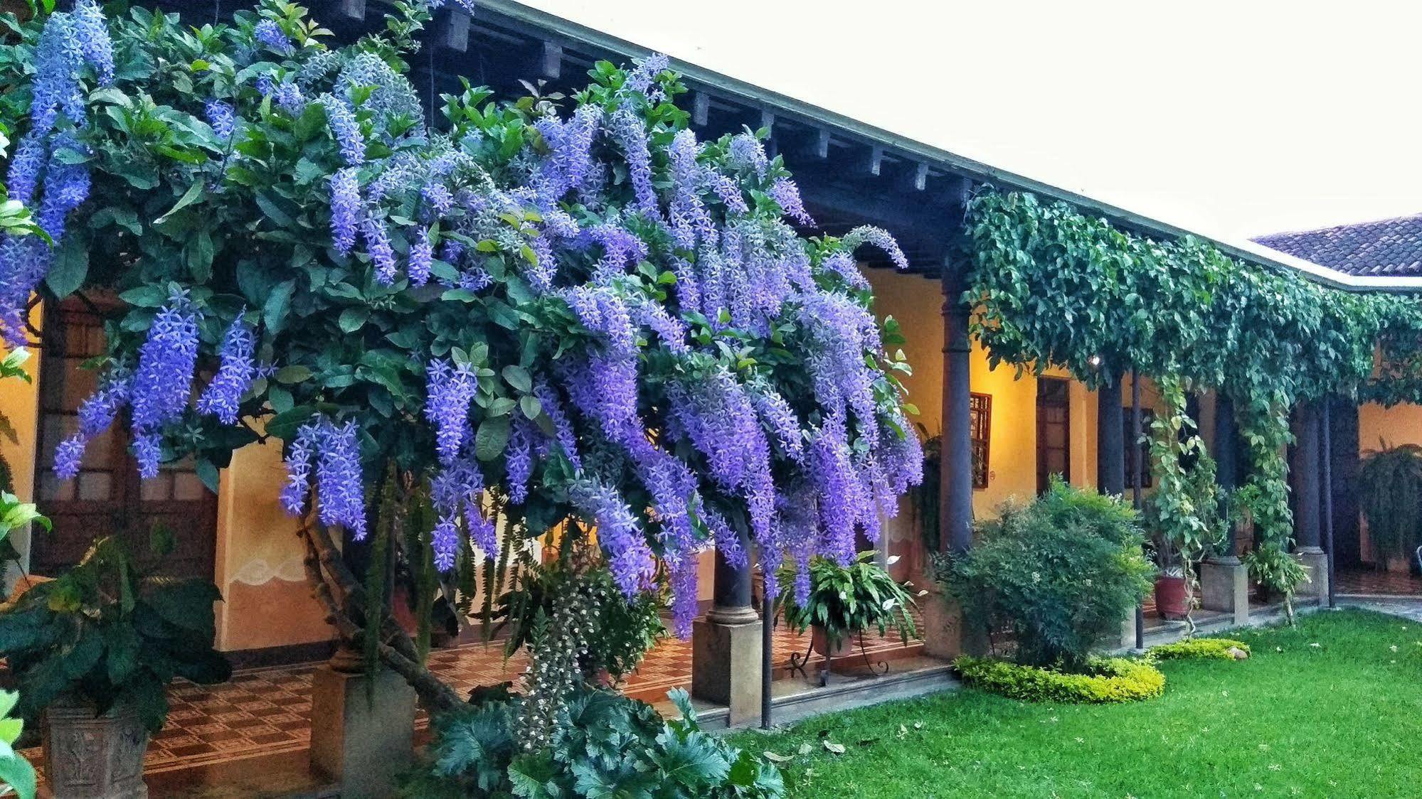 Hotel Aurora Antigua Exteriör bild
